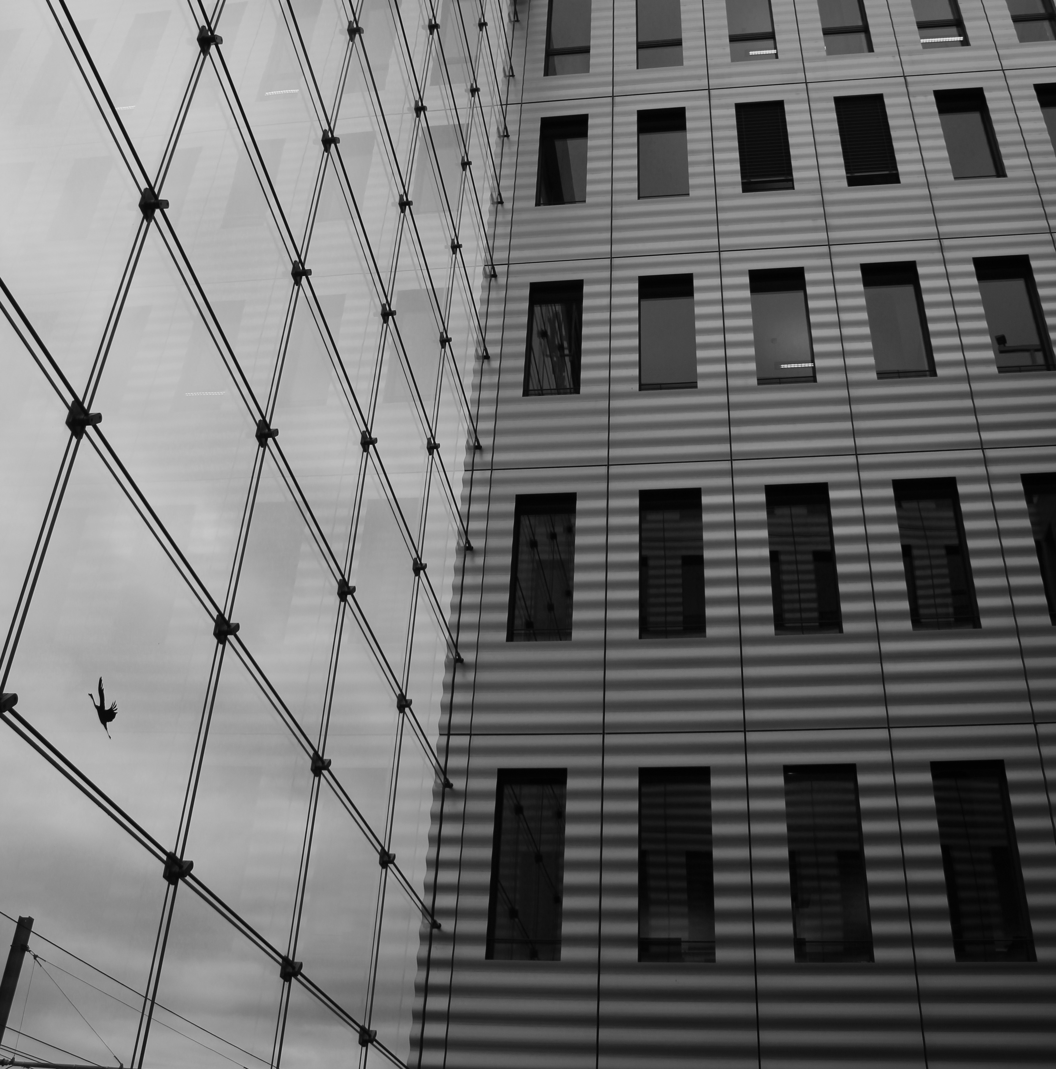Reflection of windows on a glass façade with metal grid — architectural photography by TOMA Studio.