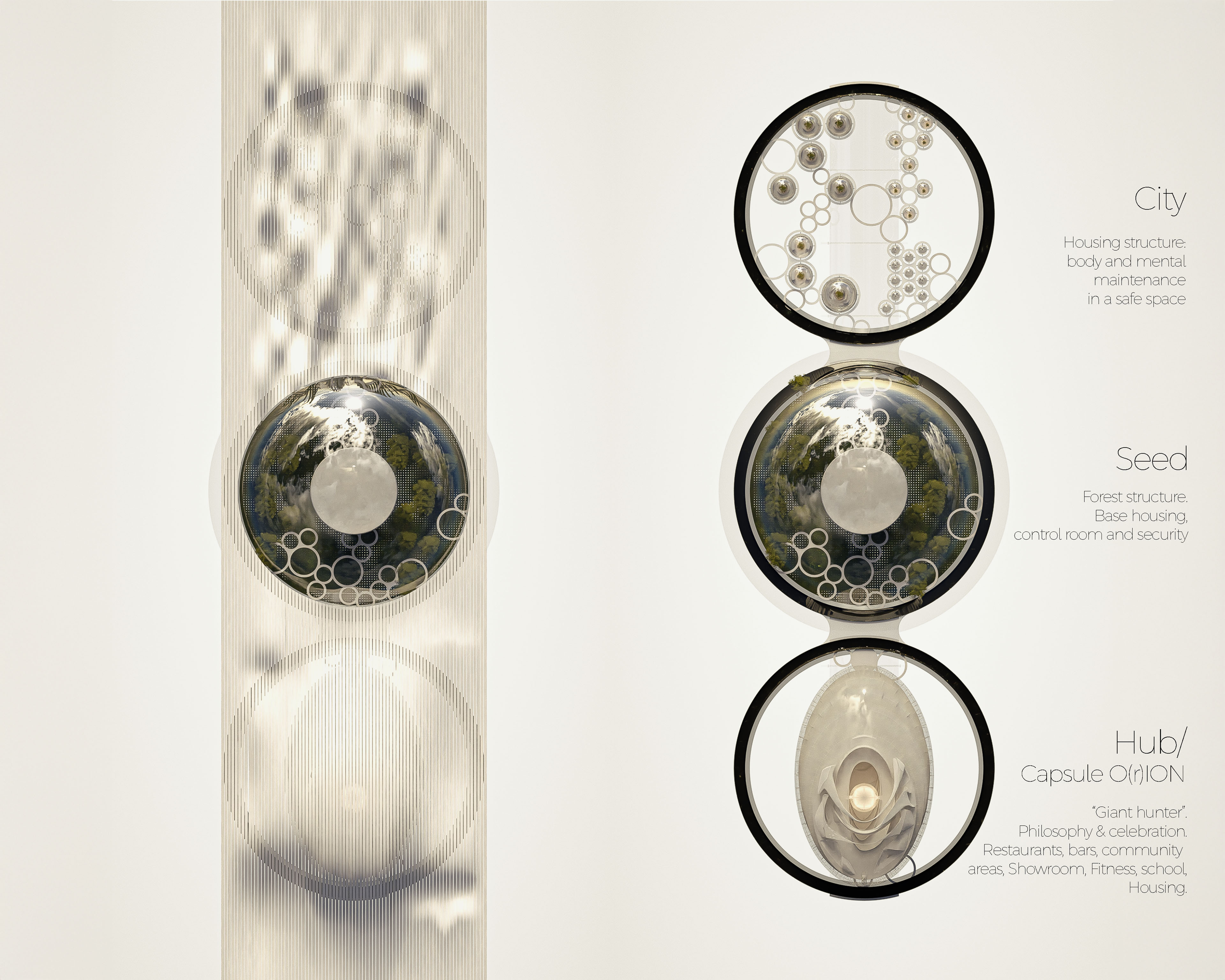 Top view of interconnected circular structures “City”, “Seed”, and “Hub” forming a self-sustaining habitat — TOMA Studio architectural concept
