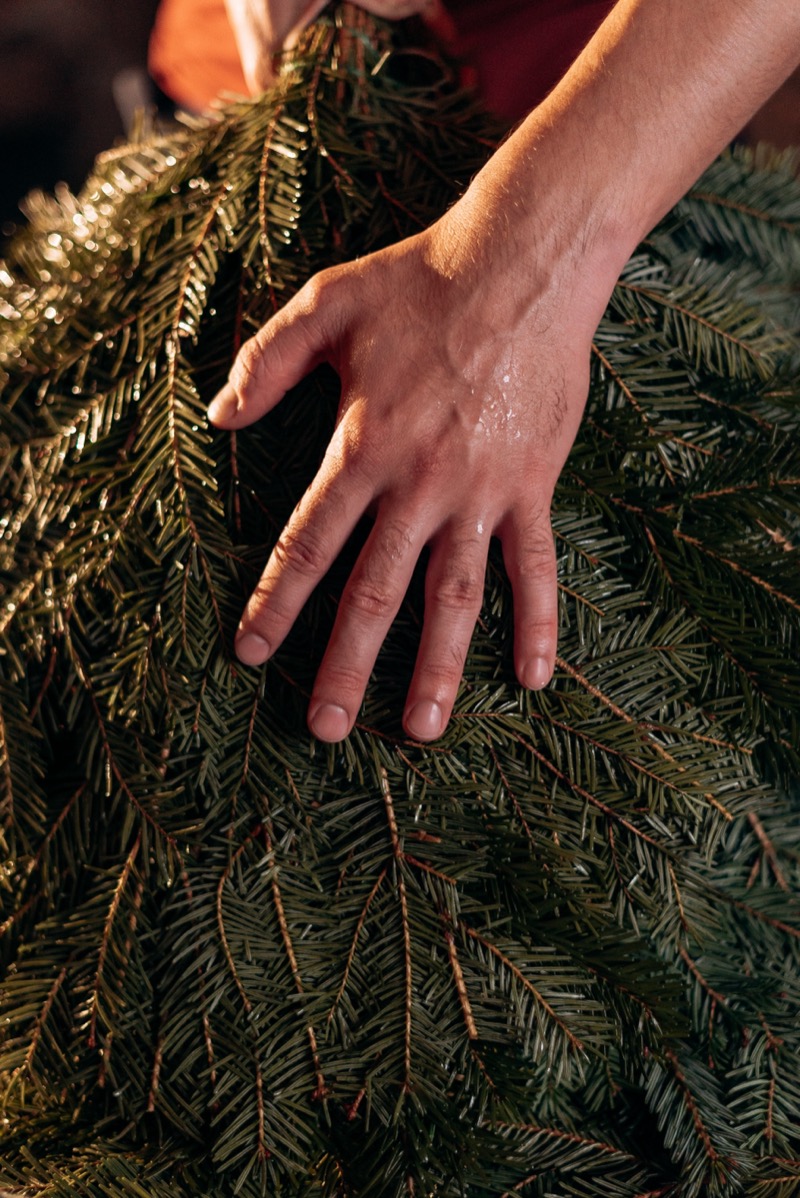 Парения в Суворовских банях