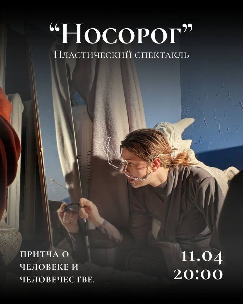 Спектакль "Носорог"