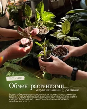 Обмен растениями