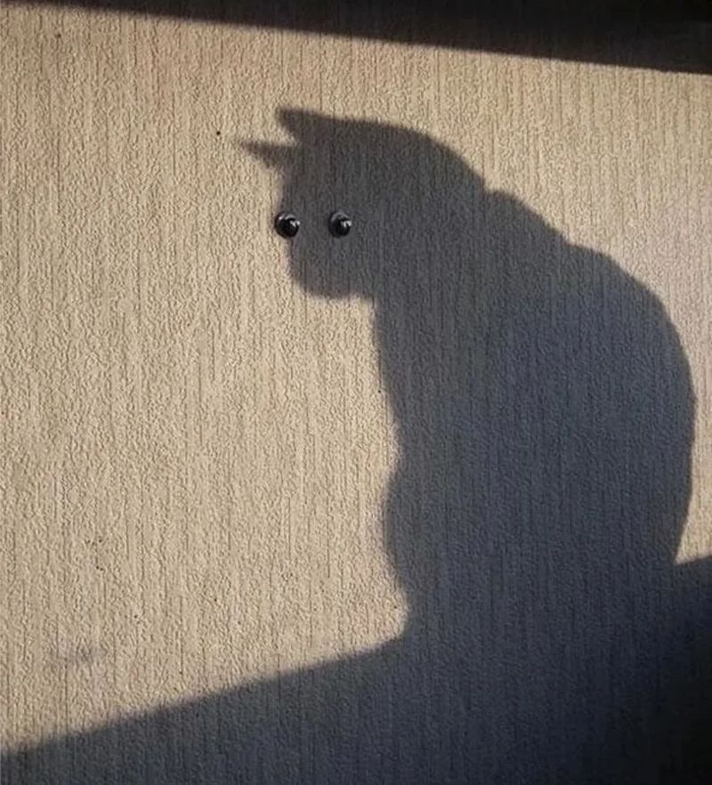 Клубная встреча, посвященная знакомству с методом Работа с Тенью