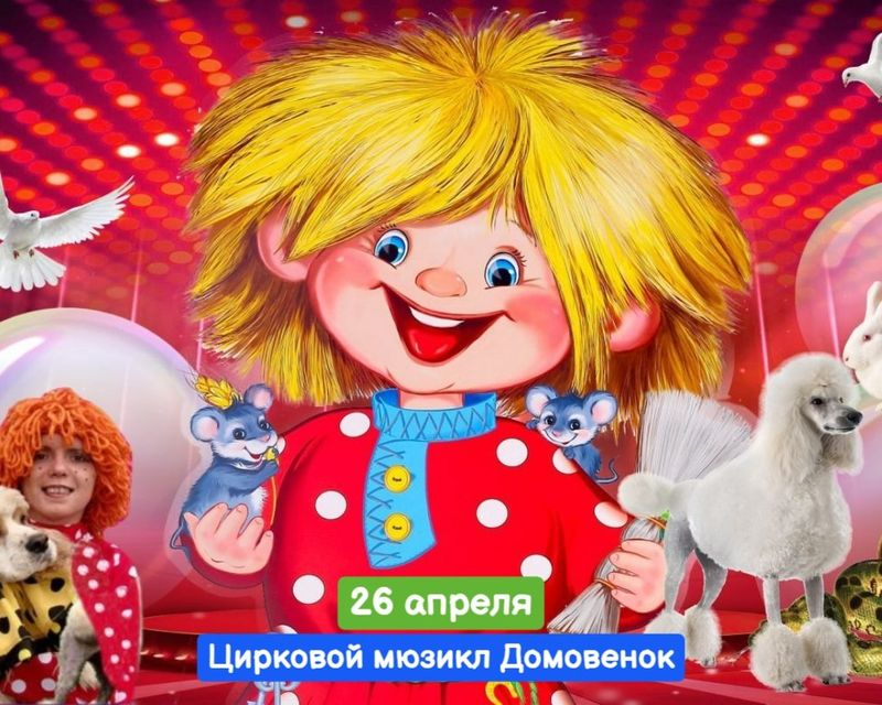 Цирковой мюзикл Домовёнок