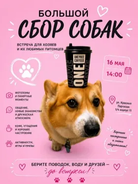 Сбор собак от One Price Coffee