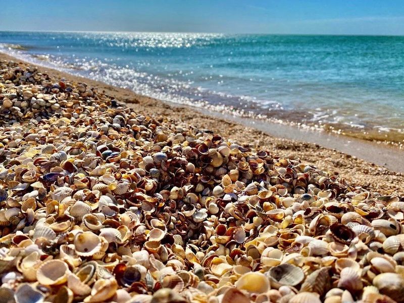 Выездной нетворкинг на море