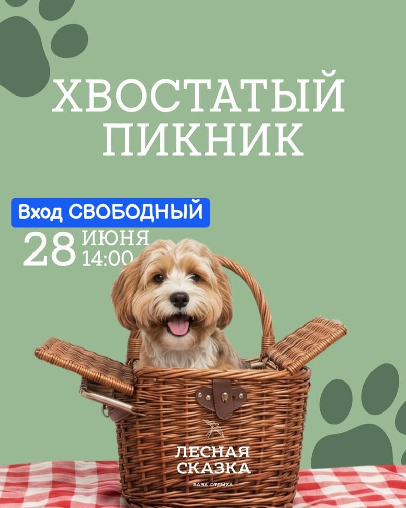 Хвостатый пикник в "лесной сказке"