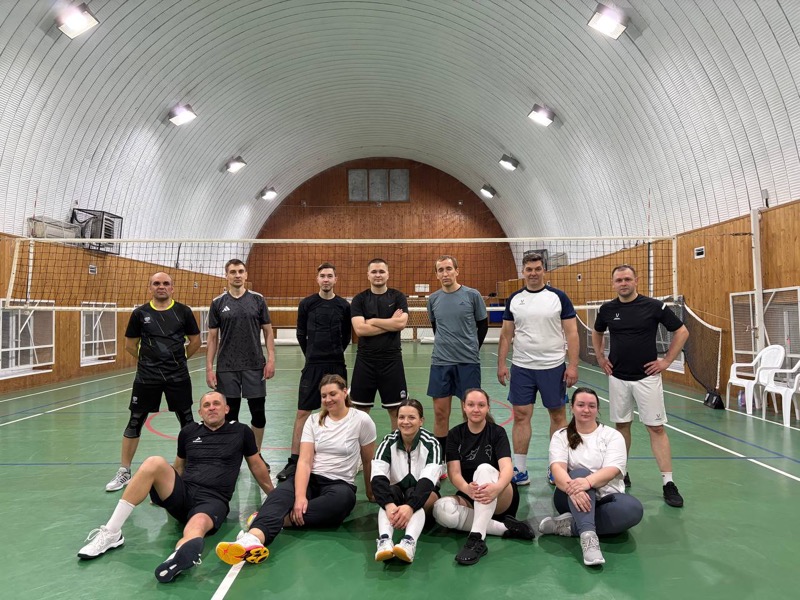 Волейбол: общая игровая