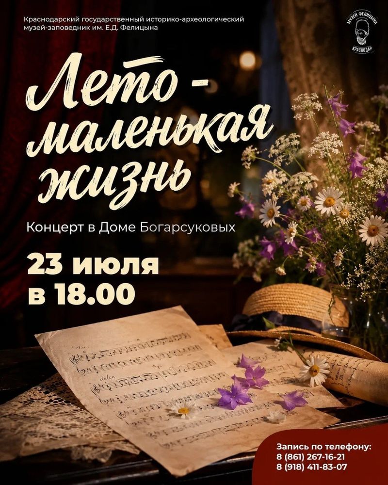 Концерт в Доме Богарсуковых "Лето — маленькая жизнь"