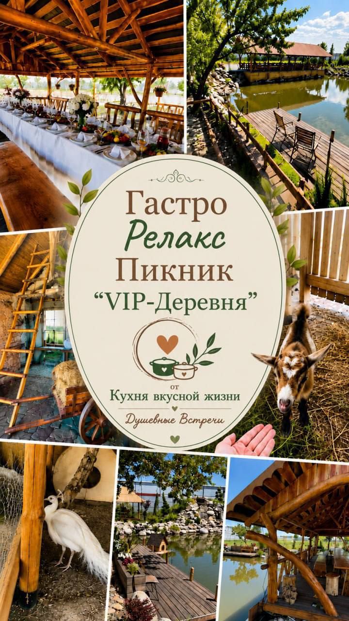 ВИП Пикник "Гастро-релакс"