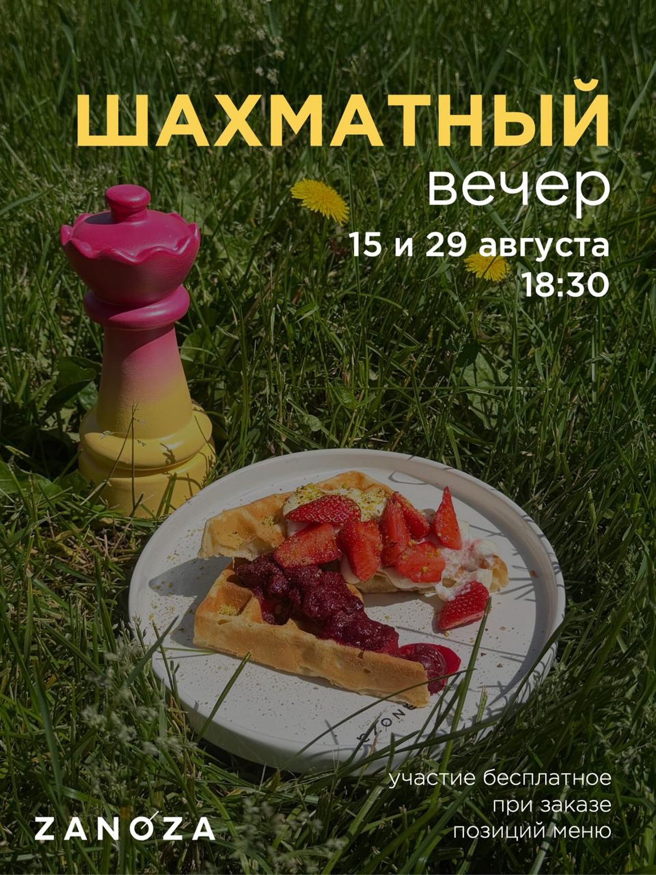 Шахматный клуб в Занозе