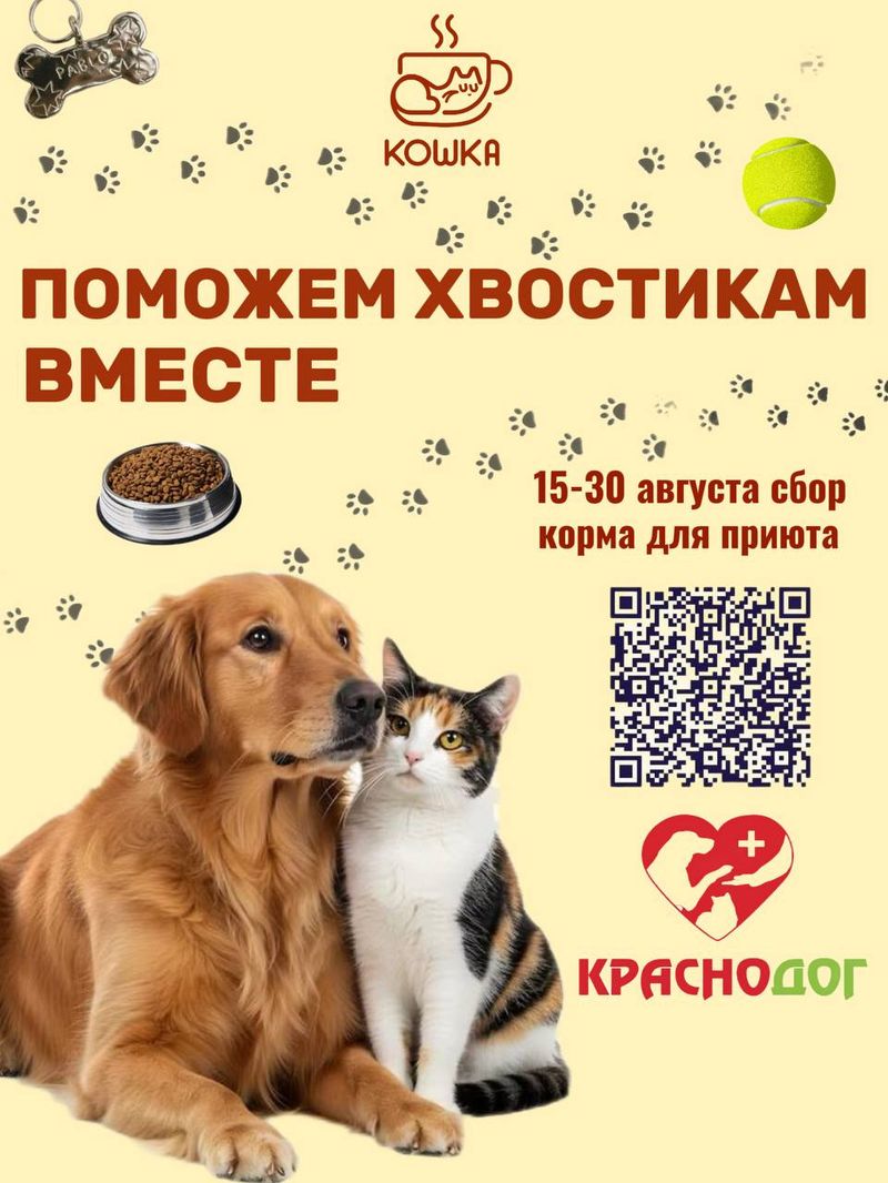 Сбор гостинцев для подопечных приюта