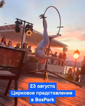 Цирковое представление в Краснодаре