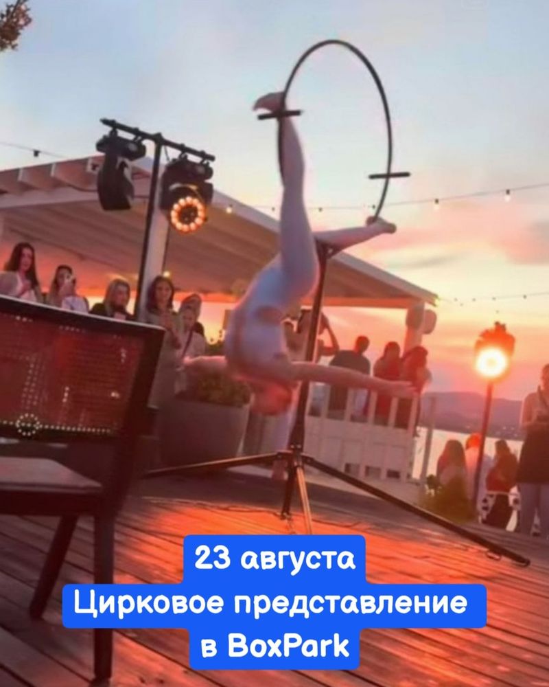Цирковое представление в Краснодаре