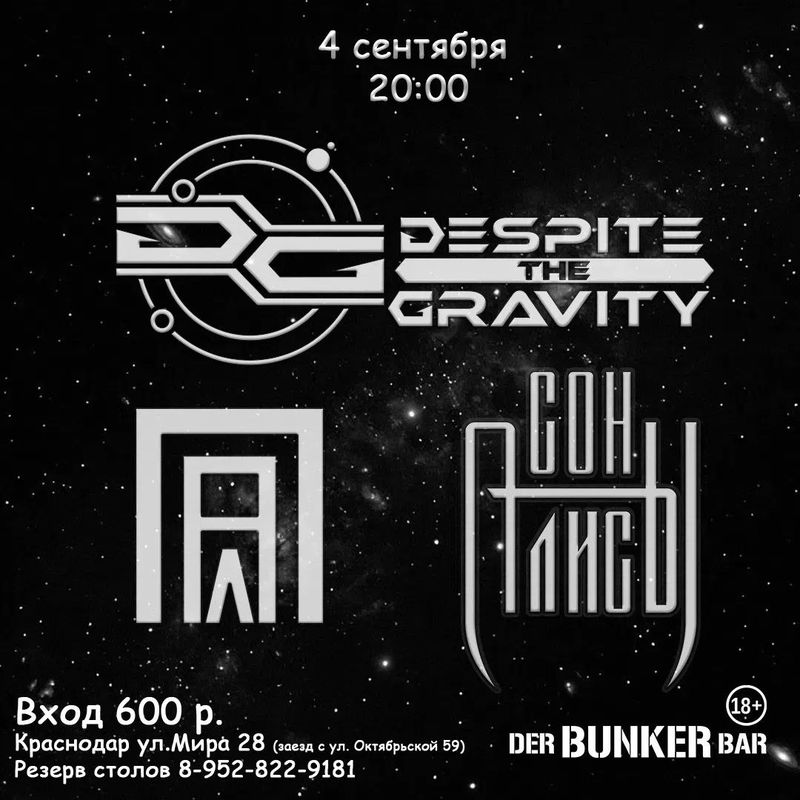 Концерт: despite the gravity / СОН АЛИСЫ / ПАЛ