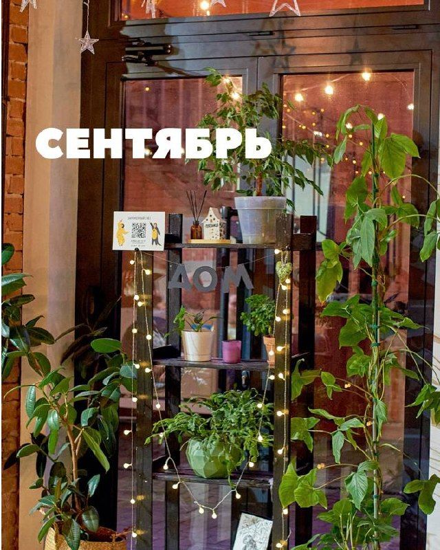 Клуб любителей сериалов