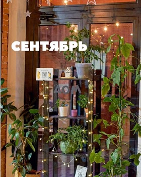 Хобби часы | укулеле для начинающих с Ланой Эннс