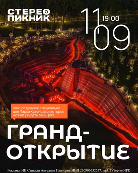 Стереопикник