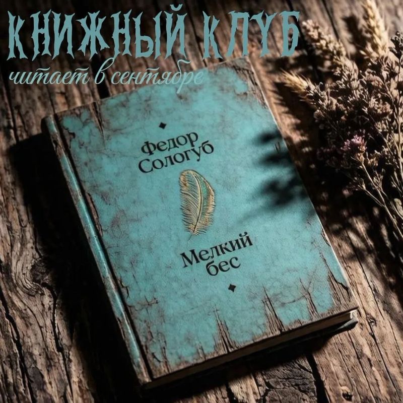 Литературный клуб: обсуждение романа "Мелкий бес"