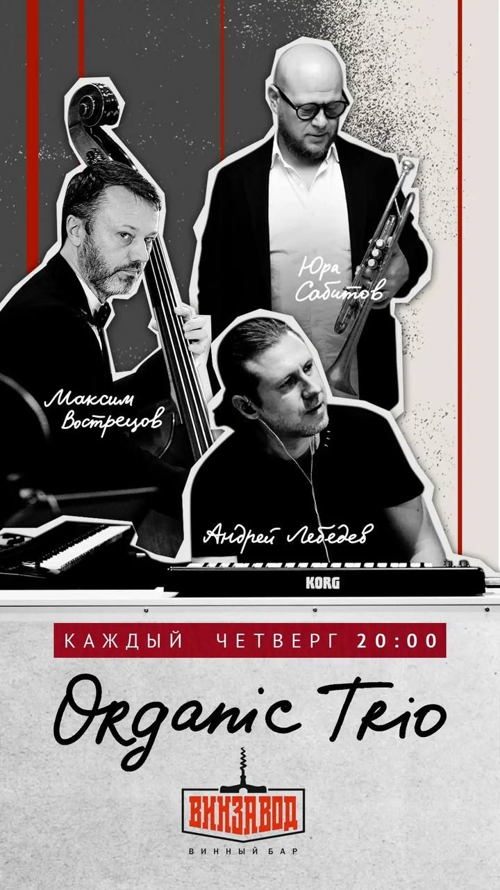 Долгожданный джаз на Винзаводе — Organic Trio