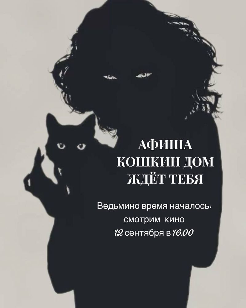 Секретное мероприятие в Кошкин дом
