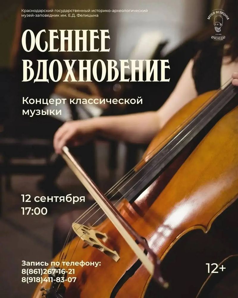 Музыкальный вечер в старинном особняке