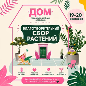 Благотворительная распродажа комнатных растений на зелёном фестивале