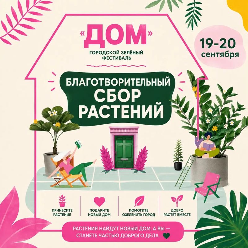 Благотворительная распродажа комнатных растений на зелёном фестивале