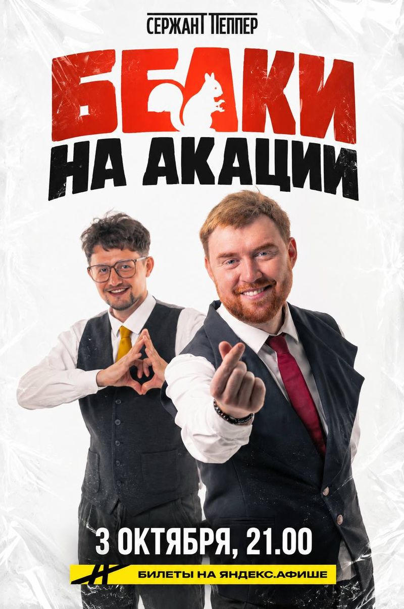 Белки на Акации