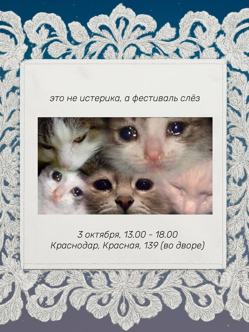 Фестиваль слез в Краснодаре