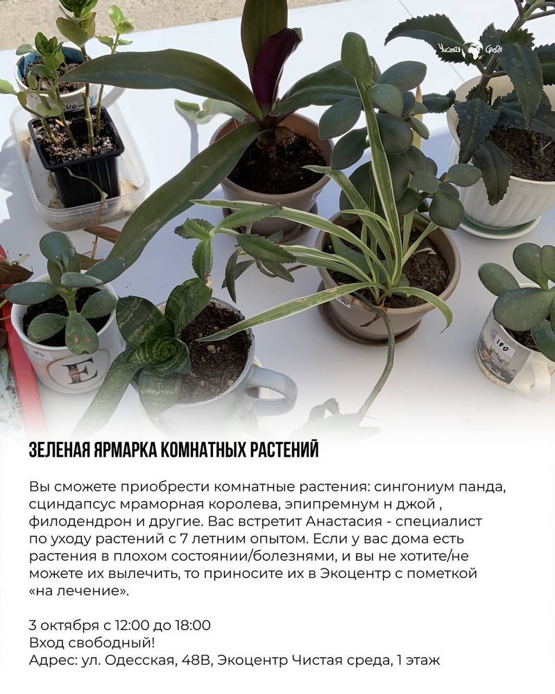 Зеленая ярмарка в Экоцентре