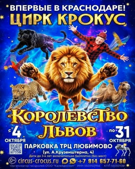 Шоу под куполом на парковке ТРЦ "Любимово"