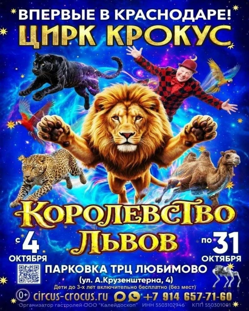 Шоу под куполом на парковке ТРЦ "Любимово"