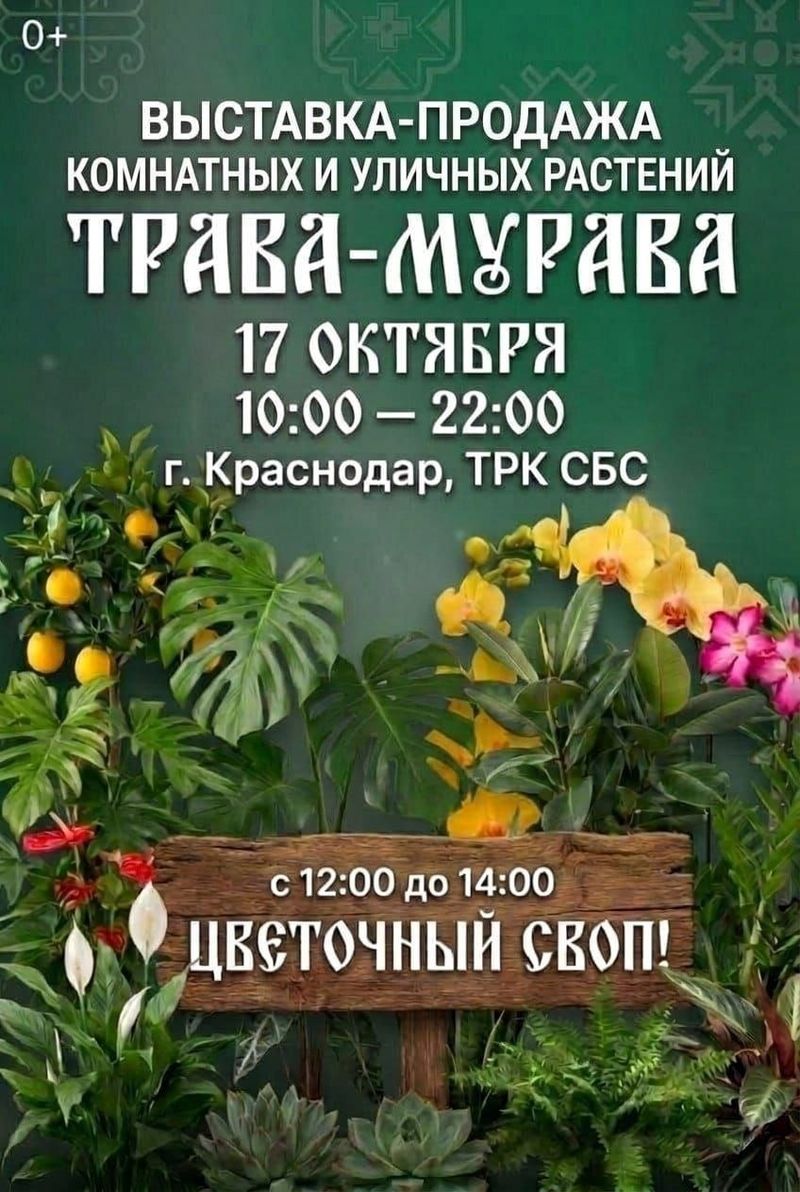 Ботанический маркет "ТРАВА-МУРАВА" в Краснодаре