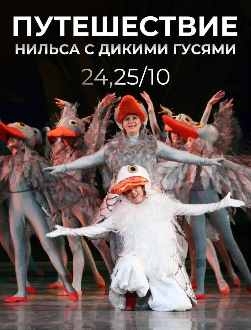 "Путешествие Нильса с дикими гусями" в Музыкальном театре