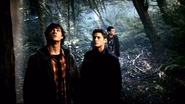 Party с просмотром эпизодов Supernatural