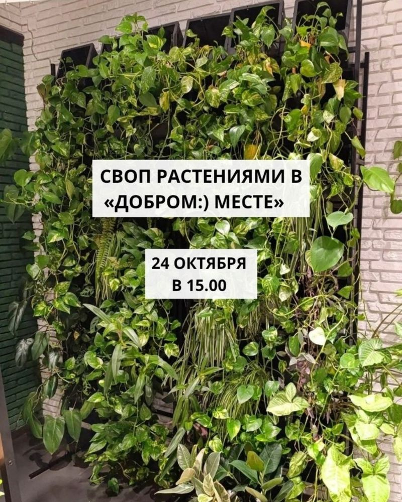Своп растениями в "Добром:) месте"