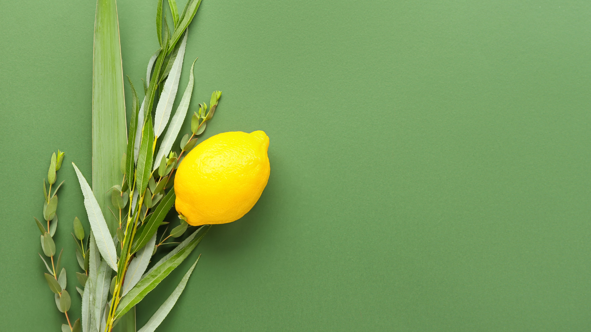 BOFU Content: The Secondary Benefits of Conversion-Focused Content