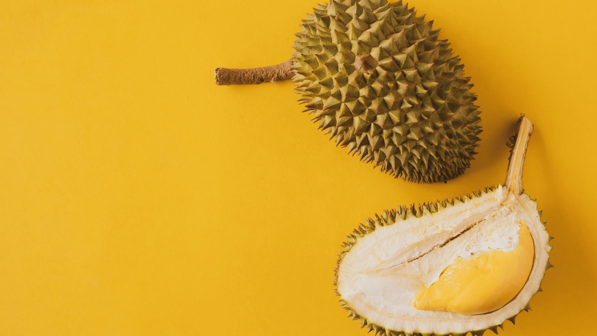 What Should You Keep in Mind When Creating a Conversion-Focused Piece of Content?