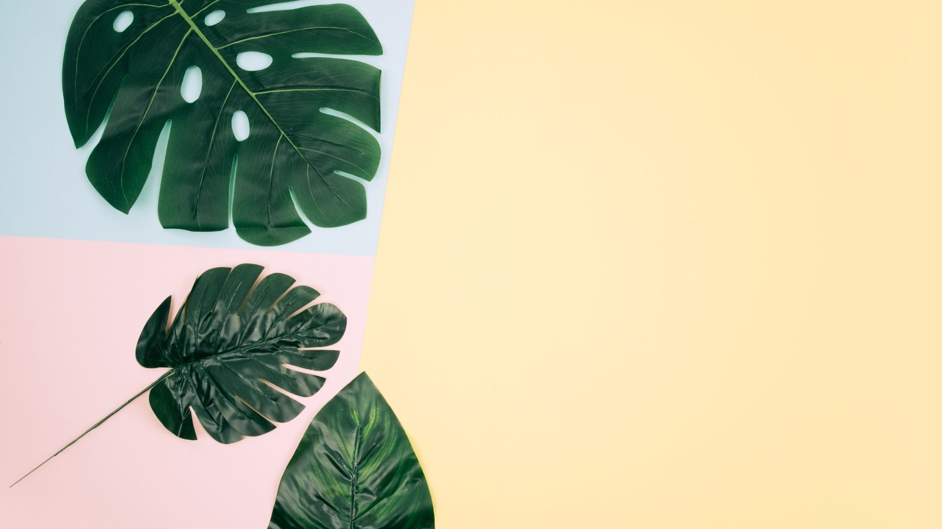 How to Create Content that Speaks to Your Customers' Pain Points