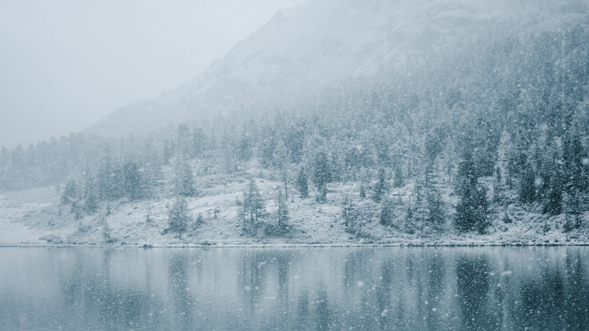 Snowfall over a pine-covered hillside reflected in a still mountain lake in the Altai region of Russia — captured during early winter by photographer Charlie Henry.