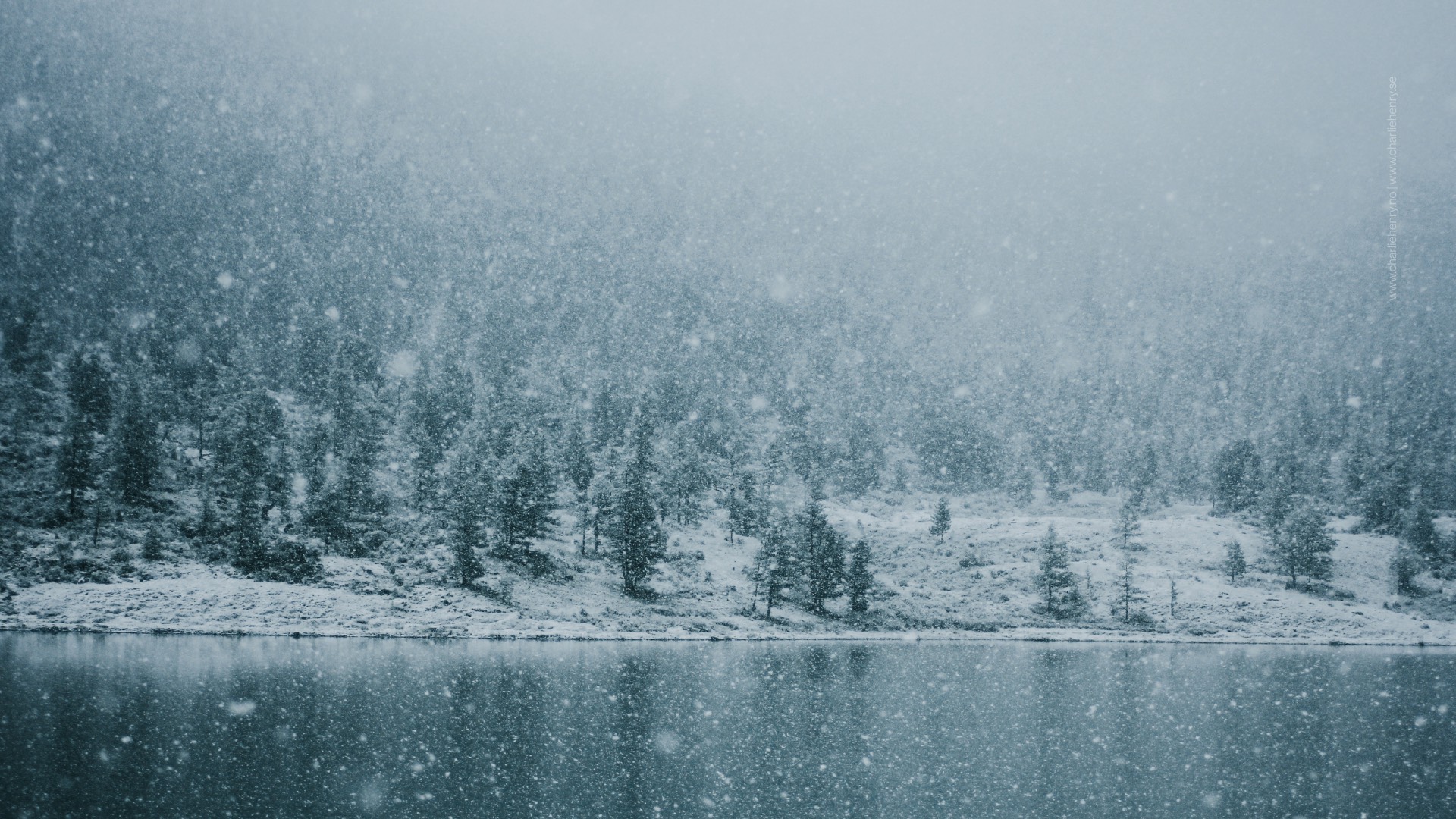Altai Region End Of Autumn Winter Shoot By Charlie Henry