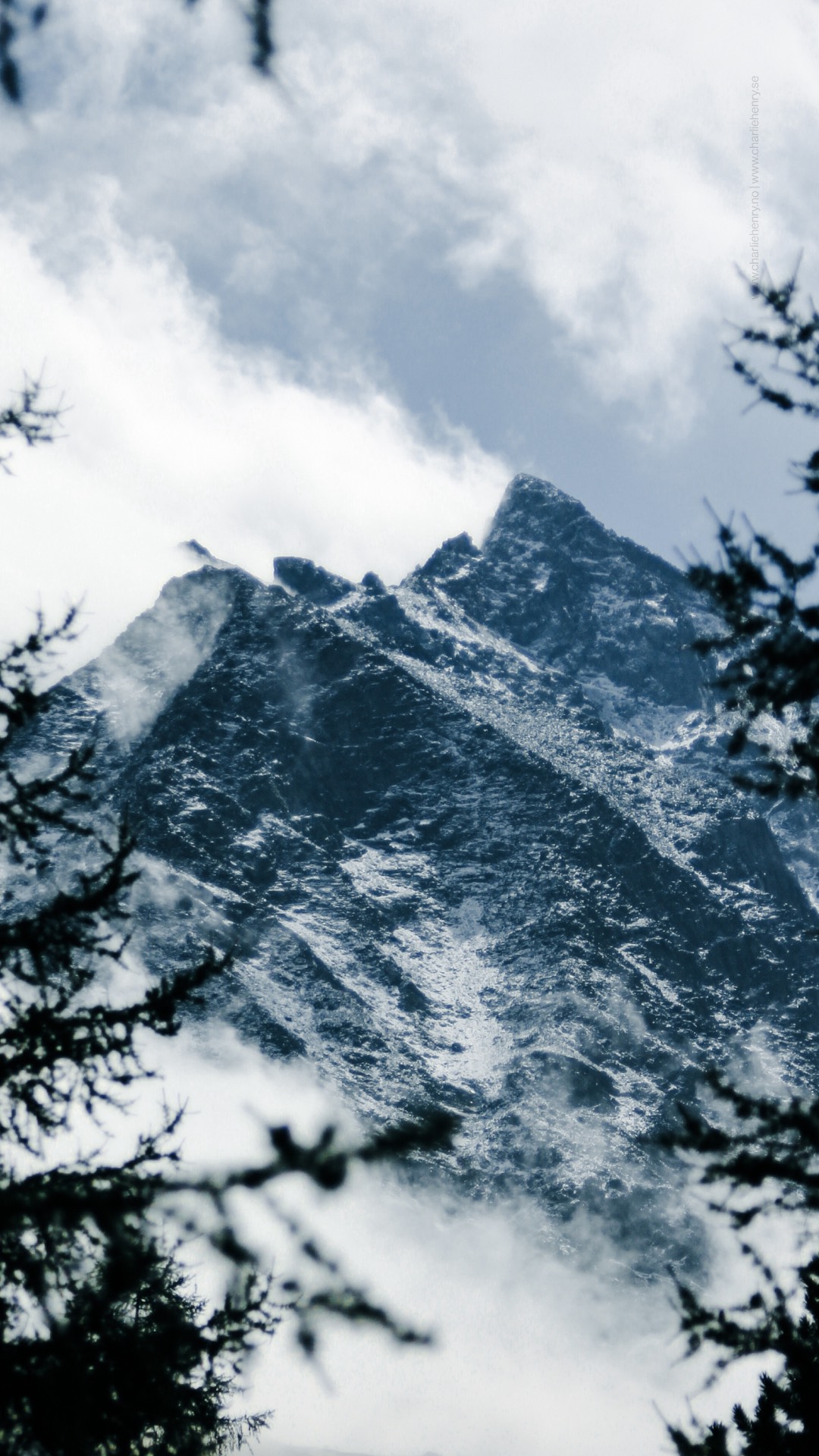 Snow-dusted mountain peak framed by pine branches and swirling mist in the Altai Mountains, Russia — landscape photograph by Charlie Henry.