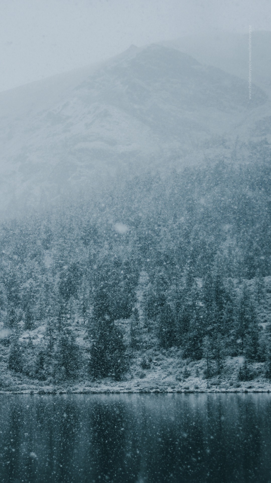 Snow-covered forest on a mountain slope reflected in a calm lake during heavy snowfall in the Altai Mountains — photographed by Charlie Henry.