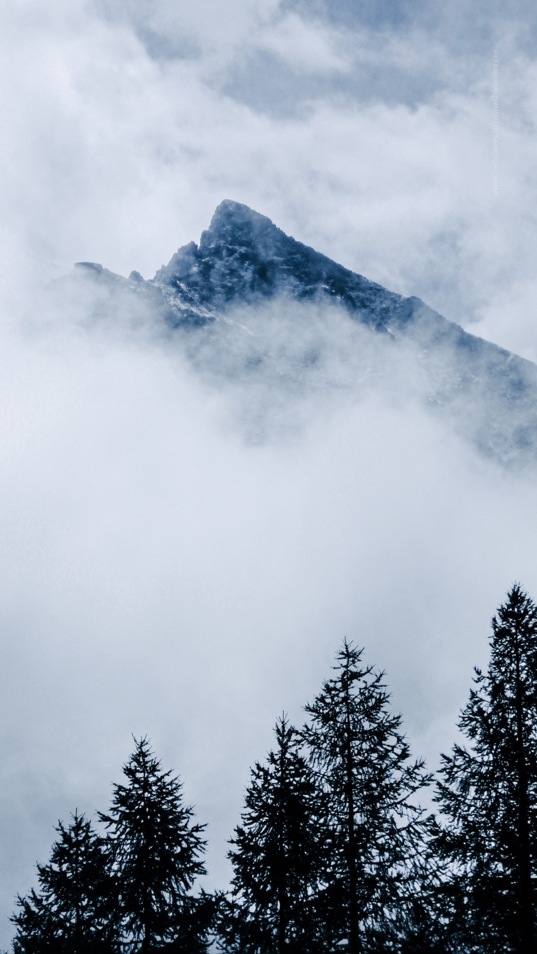 Jagged mountain peak emerging through mist above a dark pine forest in the Altai Mountains, Russia — captured by photographer Charlie Henry.