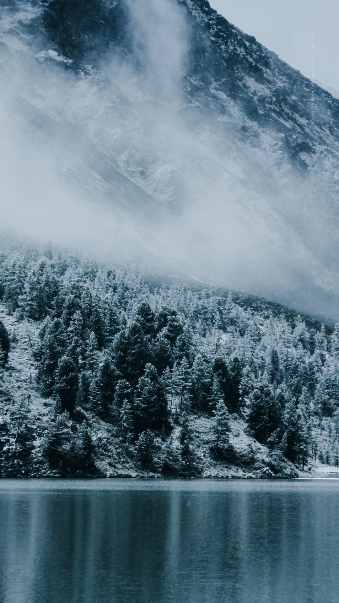 Snow-covered pine forest at the base of a mist-shrouded mountain, reflected in a calm lake in the Altai region — captured by Charlie Henry.