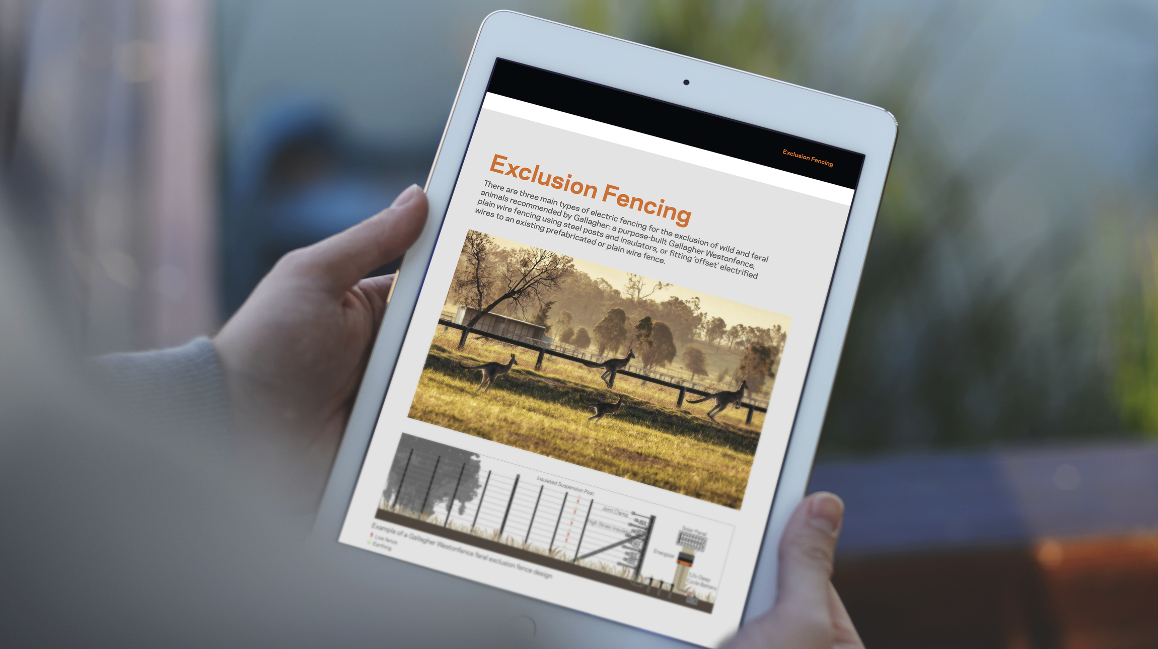 Image of person holding an iPad looking at Gallagher Group Australia's new product catalogue.