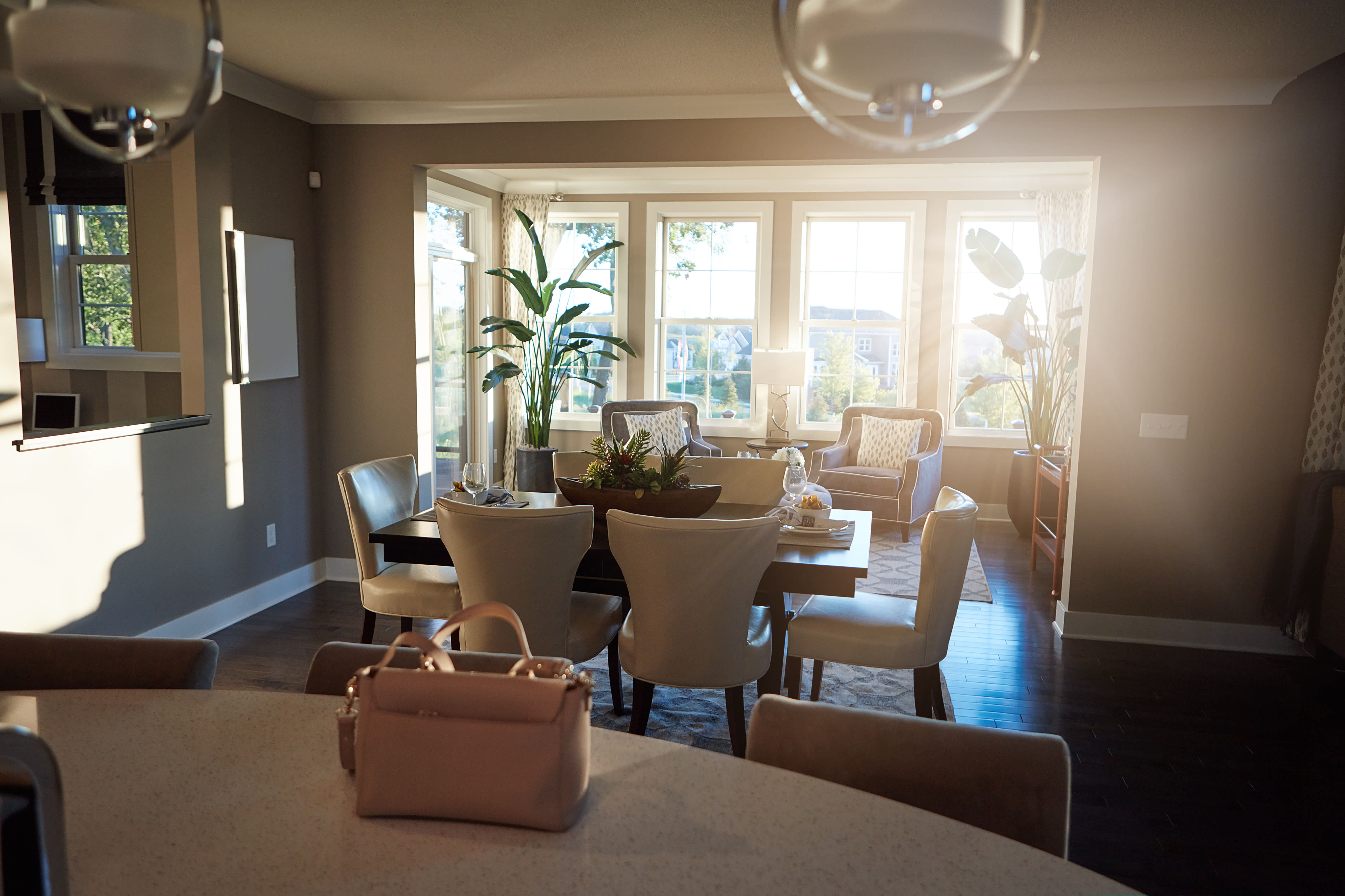 Natural light filtering in through a dining room window.