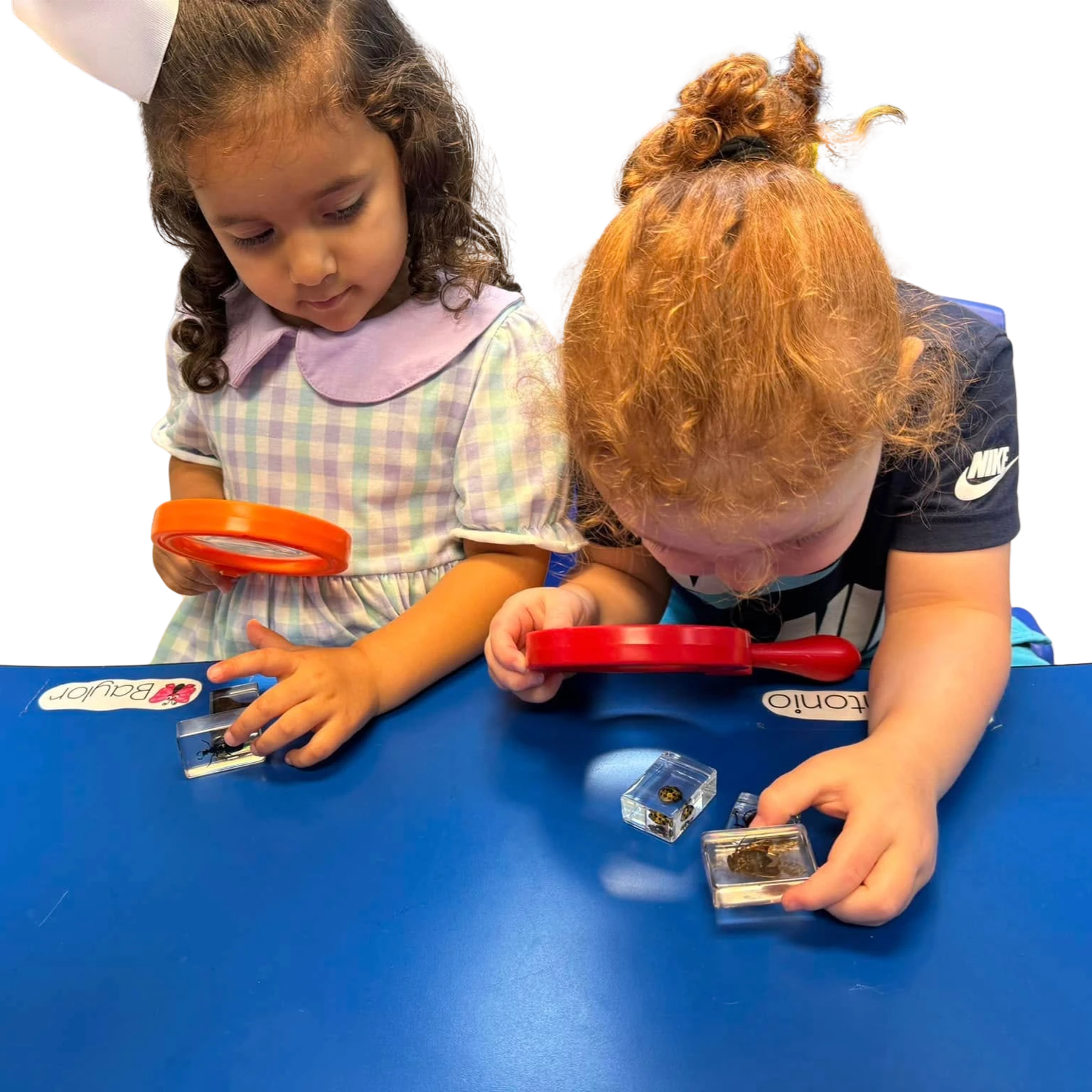 Young girls  using magnifying glasses to look at insects