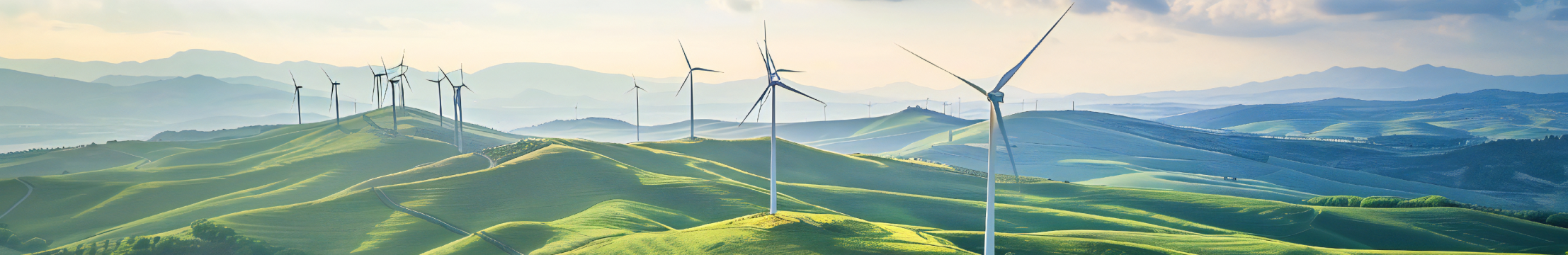 Energy & Natural Resources