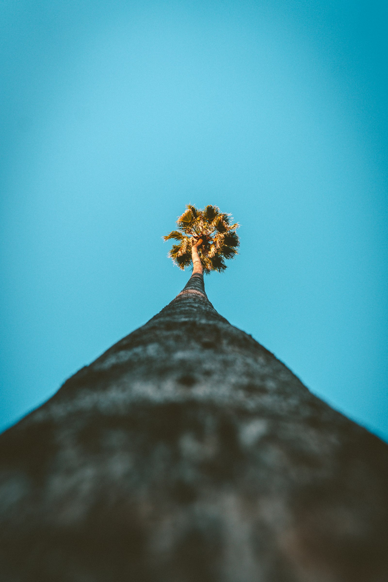 Choosing a Drug and Alcohol Rehab in Southern California